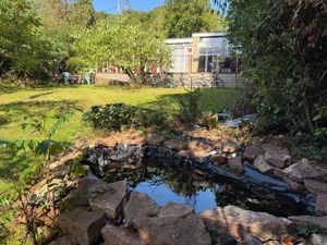 Pond- click for photo gallery